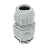 V-TEC PUSH M20
