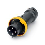 PLUG 100A 2P 3W 4h IP67 125V