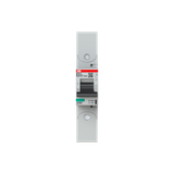 S801P-B125-R circuit breaker