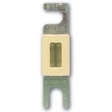 TRB 125A 80V DC fuse