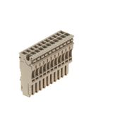 Z-series, Plug-in connector, dark beige, Direct mounting
