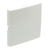 BLIND COVER PLATE ICE
