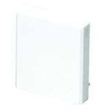 TOP FOR 80X60 TRUNKING WHITE