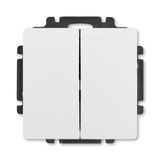 Switch with rocker, 2g 1w