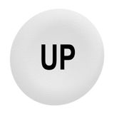 CUSTOM ENCLOSURE PUSHBUTTON CAP WHITE "UP"