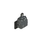 Position switch with roller and stainless steel piston plunger