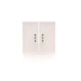 Double button for switches and push buttons, white matt
