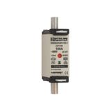 Fuse-link NH000 gG 500VAC 100A isolated tags Double indicator