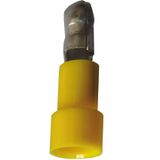 Fichero: Ter ench red amarillo.jpg