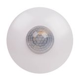DR-06 W motion sensor