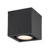 ESKINA FRAME CL single 15W,1100/1200lm,830/840,95ø,IP65,anth