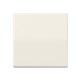 Centre plate AS591