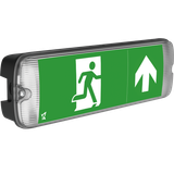 Mulu Duo Manual & Self-test IP65 EME Exit Bulkhead 1.5W/5W Black