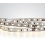 LED STRIP 24V DC CW 5m ROLL 14,4W/m IP20