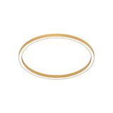 HALOS LUCE DIR.: 1440 93W 4K ORO CRI90