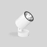 ANDHO mini, 24 W, 2050 lm, 830, white, DALI Spotlights, L 190 B 114 H 