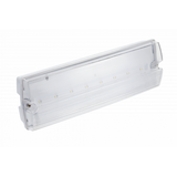 Emergency LED luminaire TERNO, 3 W, 250 lm, 6400K, AC220-240V, IP65, 1 hour, dual-mode, TEST button