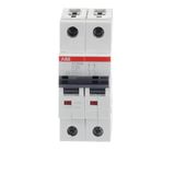 ST202M-C2 Miniature Circuit Breaker - 2P - C - 2 A