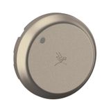 SURGE PROTECTOR ROCKER TITANIUM