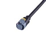 ADOGX060--E0010H06 | Connecting cordset with AMP connector