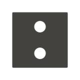 2RCA con unit cover plate