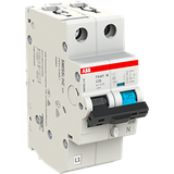 Earth leakage protection with overcurrent protection C Kar, 20A, 100mA, 10kA 1P+Prov.
