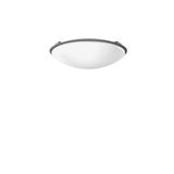 Decorative ring D 380 H 19 colour: nickel