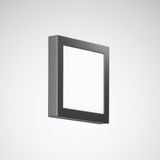 Wall and ceiling luminaire Skeo Pura Lens Anthracite ET 14W 600lm Lambertian (L) IP65 IK07 5 SDCM