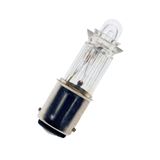 Ba15d T16X54 Neon PVC Clear 220V