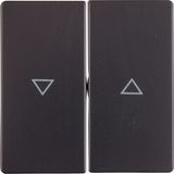 Rocker 2-gang Berker Q.1/Q.3/Q.7/Q.9 arrow symbol anthracite velvety lacquered