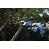 GGP 12V-25 (2x3,0Ah) secateurs, brushless technology