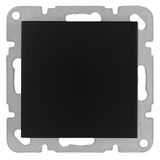 Plug, black