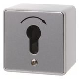 Push button for key cylinder, surface-mounted, cast IP44