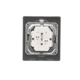 Double two way switch with LED indicator light, (module), 10AX, Screw, Gold matt, metalic