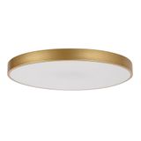 TESIA LED 60W 3000-6000K 71038