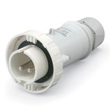 PLUG 2P IP66/IP67 16A 12h 40-50V AC