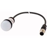 C22-L-W-24-P1 Indicator light, Flat, Cable (black) with M12A plug, 4 pole, 0.2 m, Lens white, LED white, 24 V AC/DC