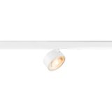 KALU 2.0, 3~ Spot, DALI, cylindrical, 2700K, 10W, 36ø, wh