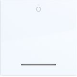 Rocker single with imprint "0", clear lens, A.x/C.x, light white glossy