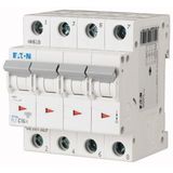PL7-D4/4 Miniature circuit breaker (MCB), 4 A, 4p, characteristic: D