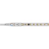 STRIP LED 230VAC: 18W/M - 50M - 4K