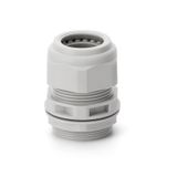 Cable Gland PG13.5 Light Version
