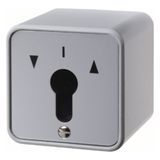 2-pole blind switch for key cylinder, surface-mounted, molded IP44