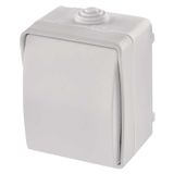 Two-way switch (wall-mounted) IP54, 1 button