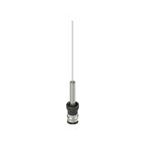 Head spring rod with whisker