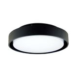 LED lamp Andromede R, 14W, 4000K, IP65, black color