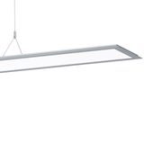 SL713+PL RL 50 S/C 8TW GREY BT HCL MP