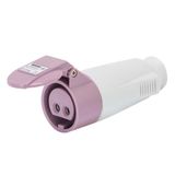 Connector IP44 2P 16A 24V