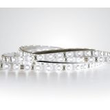 LED STRIP 24V CW 5m ROLL 4,8W/m IP68