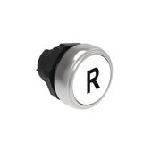Pushbutton actuator, spring return, with symbol Ø22mm Platinum series chromed plastic, flush, R/White